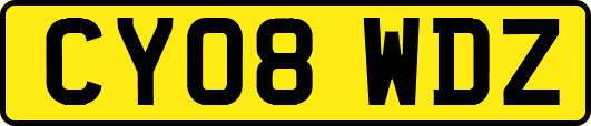 CY08WDZ