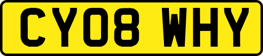CY08WHY