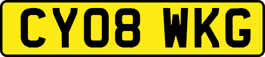 CY08WKG