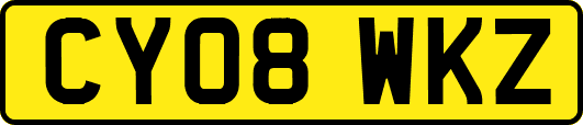 CY08WKZ