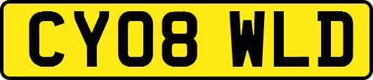 CY08WLD