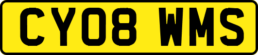 CY08WMS