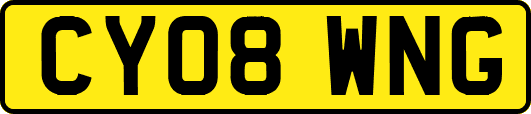CY08WNG