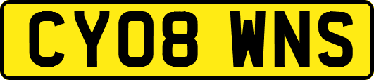 CY08WNS
