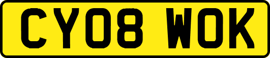 CY08WOK
