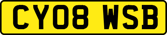 CY08WSB