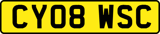 CY08WSC