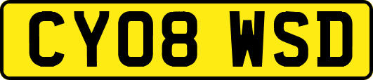 CY08WSD