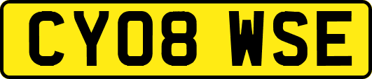 CY08WSE