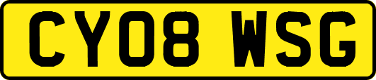 CY08WSG