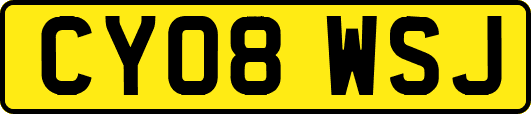 CY08WSJ
