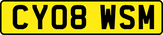 CY08WSM
