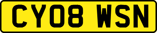 CY08WSN