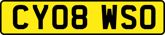 CY08WSO