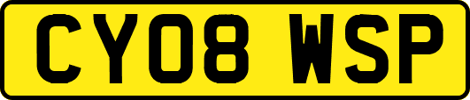 CY08WSP