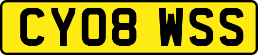 CY08WSS