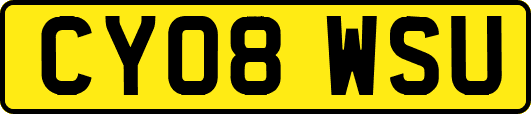 CY08WSU
