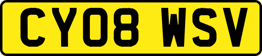 CY08WSV