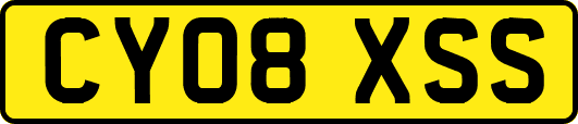 CY08XSS