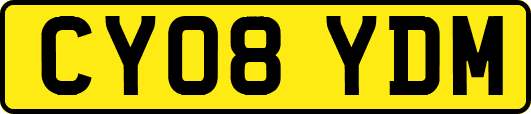 CY08YDM