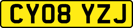 CY08YZJ