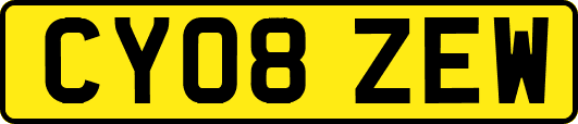 CY08ZEW