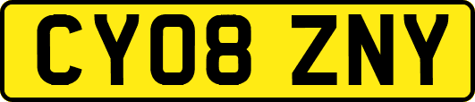 CY08ZNY