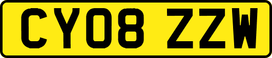 CY08ZZW