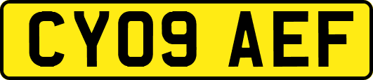 CY09AEF