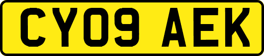 CY09AEK