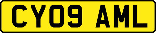 CY09AML