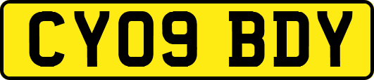 CY09BDY