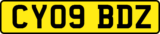 CY09BDZ