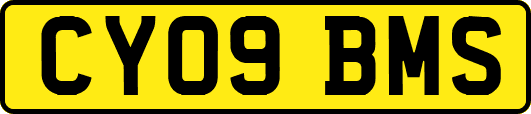 CY09BMS
