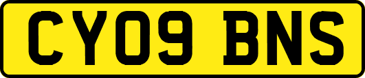 CY09BNS