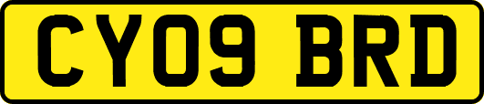 CY09BRD
