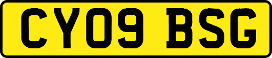 CY09BSG