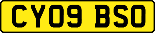 CY09BSO