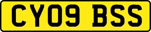 CY09BSS