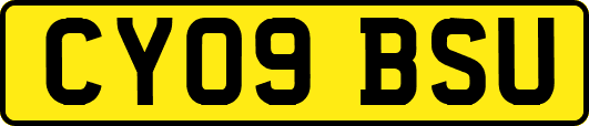 CY09BSU