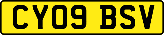 CY09BSV