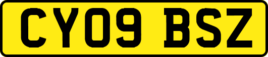 CY09BSZ