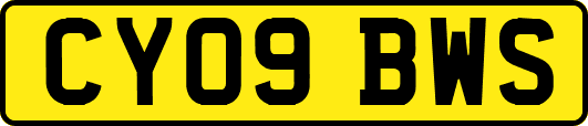 CY09BWS