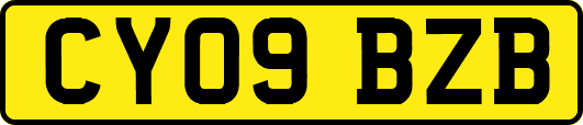 CY09BZB