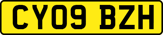 CY09BZH