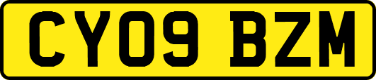 CY09BZM