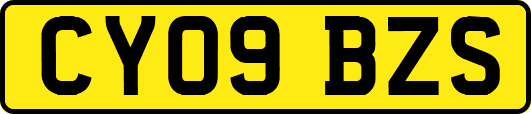 CY09BZS