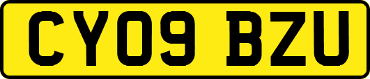 CY09BZU