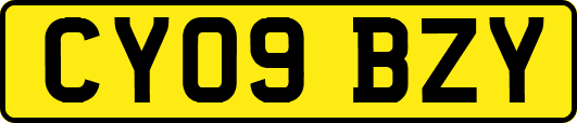 CY09BZY
