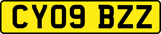 CY09BZZ